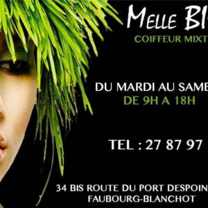 Melle Bio Coiffeur