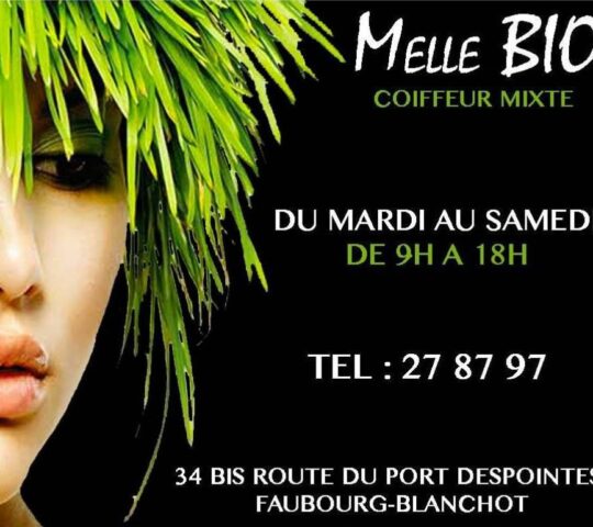 Melle Bio Coiffeur